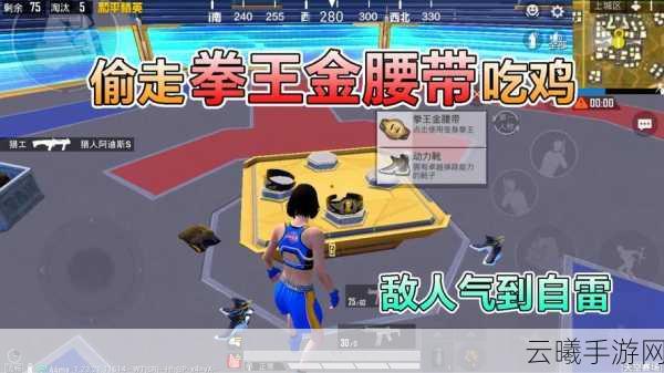 和平精英天空格斗赛金腰带获取全攻略,解锁拳王形态,畅享激战乐趣!