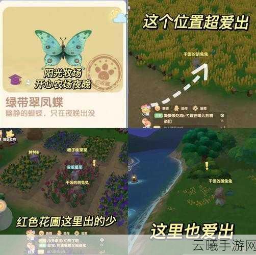 摩尔庄园天气变幻莫测？掌握这些技巧，轻松应对，探索无限乐趣！