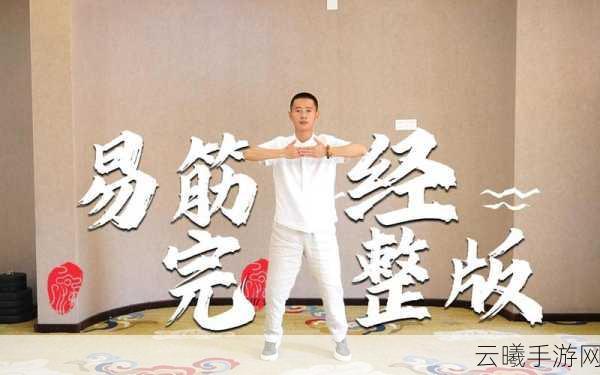 烟雨江湖易筋经易髓修炼全攻略,解锁武学新境界
