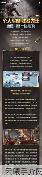 和平精英亲密度不增之谜，揭秘原因与趣味玩法大赏