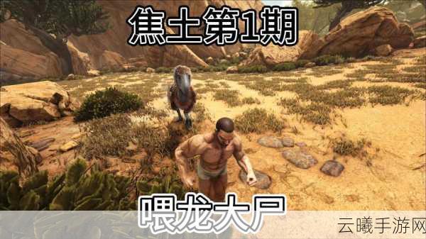 方舟，生存进化手游无法启动？资源管理视角下的全面解决之道及趣味玩法揭秘
