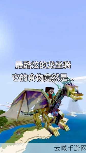 我的世界手游新篇章,如何召唤并玩转你的专属坐骑?