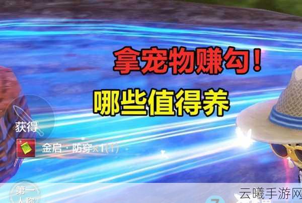妄想山海宠物快速提升等级秘籍,迅速升级的小妙招与趣味玩法大揭秘