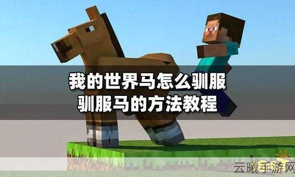 我的世界手游深度攻略,如何驯服马并探索更多趣味玩法