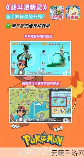 城市精灵GO全面攻略,如何高效强化你的精灵伙伴