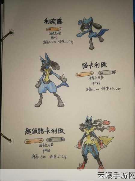 宝可梦紫路卡利欧努力值速刷攻略与趣味玩法探索
