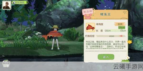 小森生活大马哈鱼钓法全攻略及趣味玩法揭秘