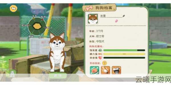 小森生活大马哈鱼钓法全攻略及趣味玩法揭秘
