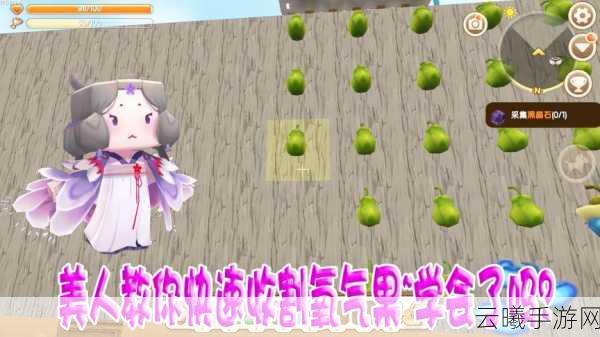 迷你世界氧气果获取攻略及趣味玩法揭秘