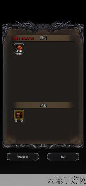 地下城堡2，黑暗觉醒堡生大赛精彩瞬间全面揭秘，探索未知地牢的奇幻之旅