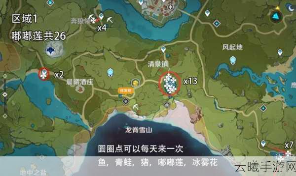 原神嘟嘟莲采集地点全攻略，详尽路线与高效采集技巧大揭秘