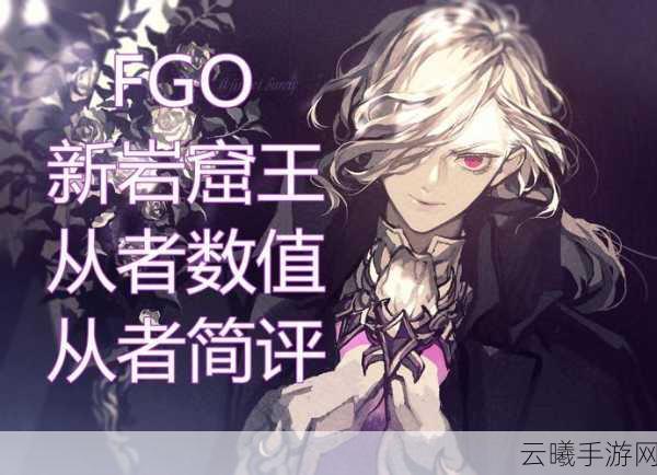 FGO岩窟王角色抽取价值分析，深度玩法与魅力揭秘