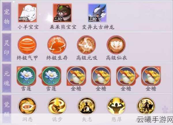 天境传说灵境探险全攻略,解锁奇幻世界的冒险之旅