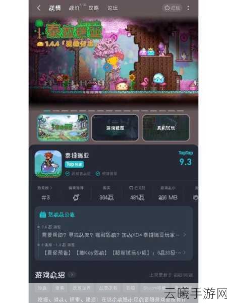 泰拉瑞亚,飞翔之魂的神秘获取之旅,探索无限创意的沙盒世界