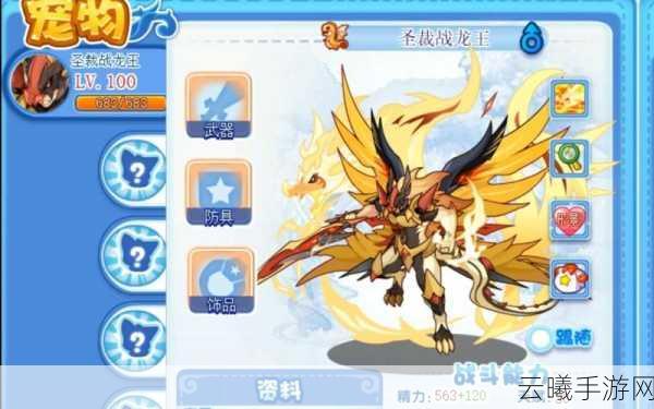 洛克王国龙王技能全解析及趣味玩法探索
