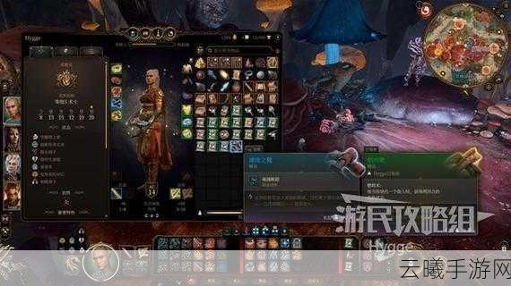 博德之门3复仇之炉蜘蛛劝服全攻略，幽暗地域蜘蛛降服深度指南