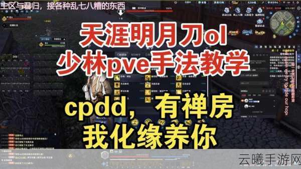 天涯明月刀少林连招技巧攻略,掌握武林绝学,称霸江湖图文教程