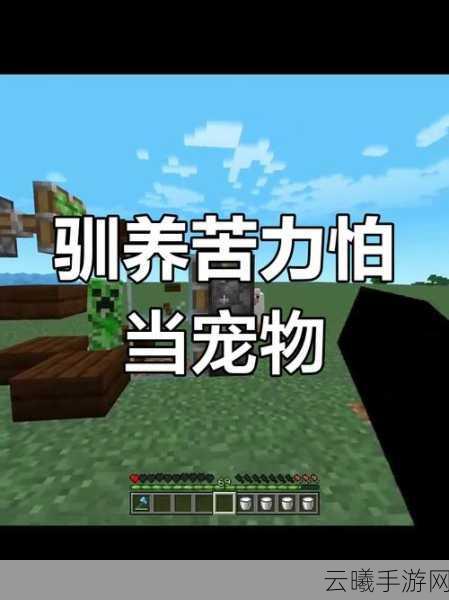 我的世界手游资讯，揭秘如何获得苦力怕蛋及趣味玩法大揭秘