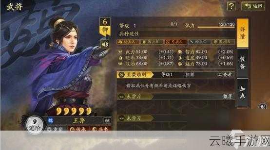三国志战略版武将级别深度解析,探索那些自带体系的武将们的非凡魅力