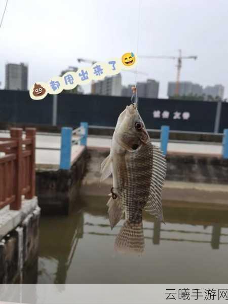 波西亚时光无悔的交易值与不值?钓鱼技巧大揭秘!