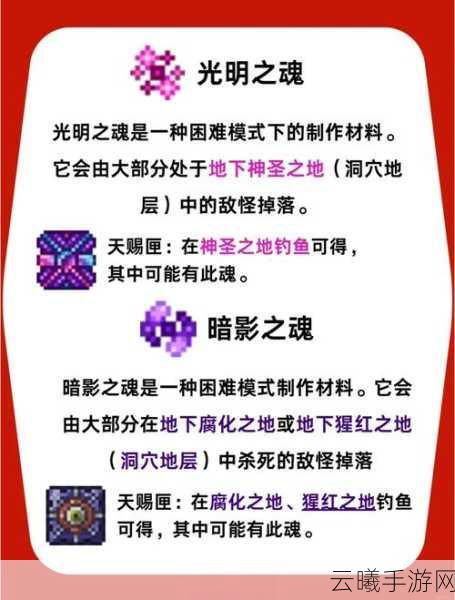 泰拉瑞亚灾厄逐影飞盘充能及趣味玩法全解析