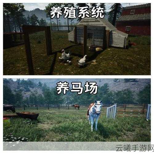 模拟农场25养猪新纪元,高效养猪攻略与趣味玩法揭秘
