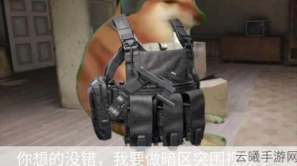暗区突围修脚玩法揭秘,高拟真战场下的另类战术