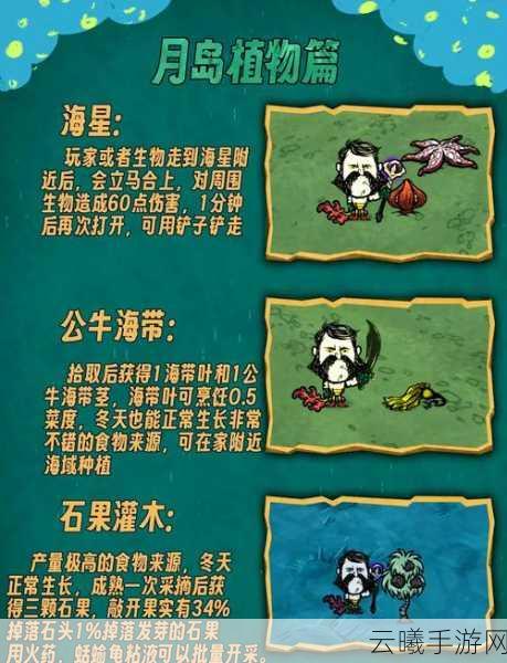 饥荒手游月岛蜘蛛巢拆除攻略及趣味玩法探索