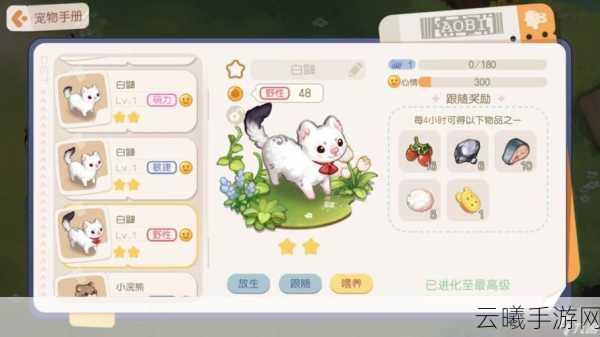 奥比岛,梦想国度粉玫瑰获取攻略及趣味玩法介绍