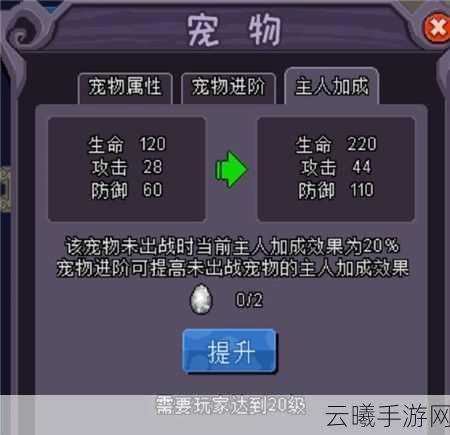 模拟人生4手游，宠物生病不用慌，全面攻略助你轻松应对！