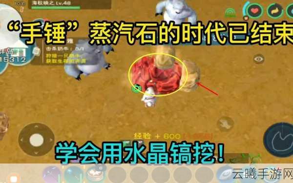 创造与魔法蒸汽石获取攻略及趣味玩法揭秘