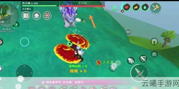 创造与魔法紫苏神秘刷新地点全解析，揭秘秘境地点与独特属性探寻奇幻之旅