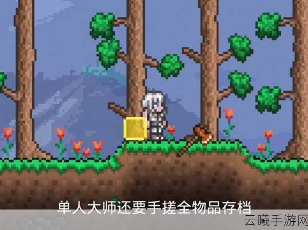 泰拉瑞亚PE专家模式全攻略，解锁极限挑战，探索无尽冒险
