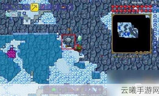 泰拉瑞亚冰雪巨人现身秘籍，探索与挑战并存