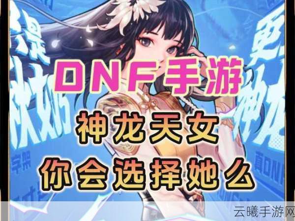 DNF龙女宠物颜值大比拼,解锁全新养成玩法,探索你的绝美之选!
