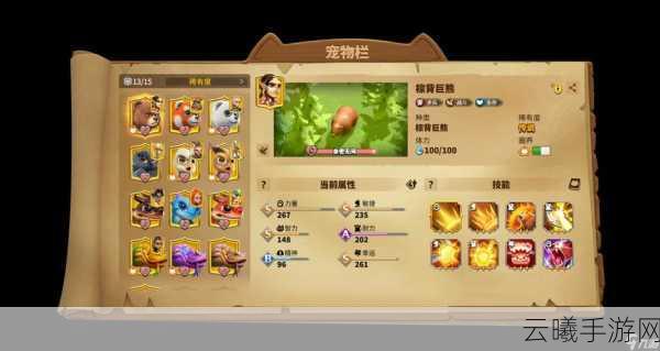万龙觉醒宠物强度对比分析，探索龙宠战斗新纪元