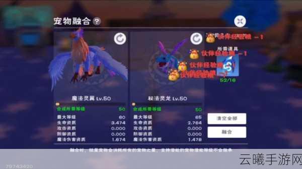 创造与魔法祈愿灵翼融合全攻略，解锁神秘战宠的奇幻之旅