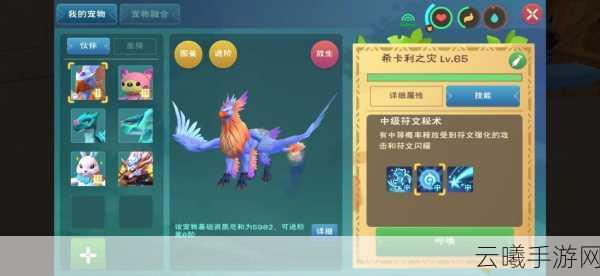 创造与魔法祈愿灵翼融合全攻略，解锁神秘战宠的奇幻之旅