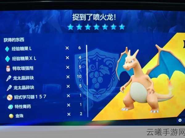 宝可梦剑盾顶级美食挑战，喷火龙级咖喱制作秘籍