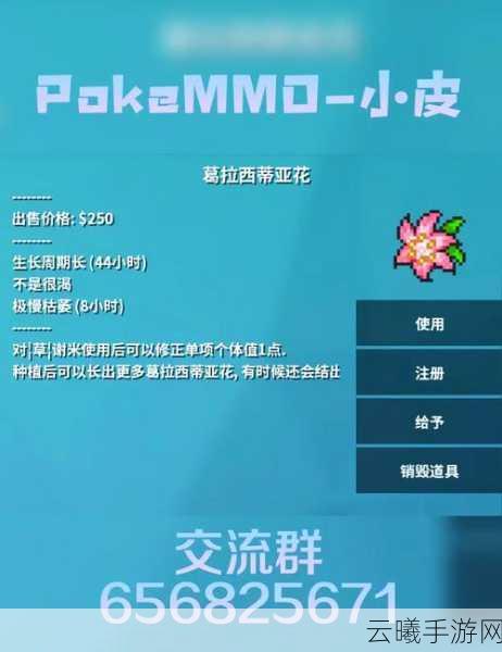 口袋妖怪神兽领域全攻略，探索奇幻世界，征服传说神兽