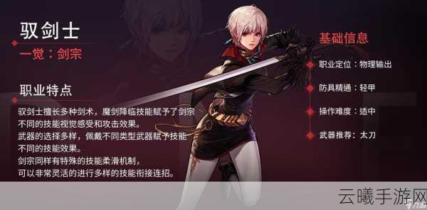 地下城与勇士手游,创角色ID背后的意义与趣味玩法揭秘