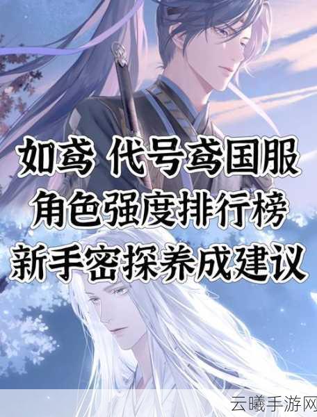 如鸢手游攻略，马超阵容搭配全解析及趣味玩法探索