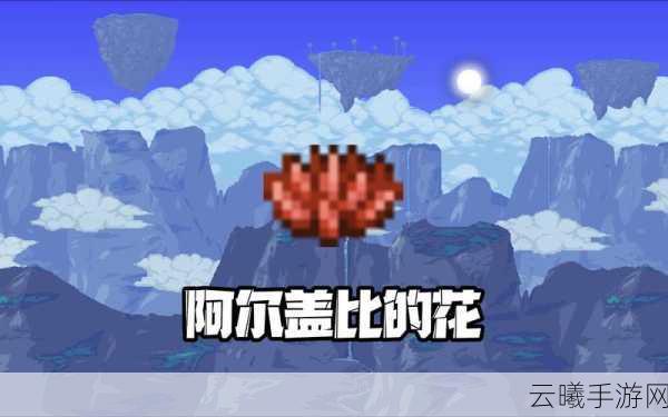 泰拉瑞亚，花盆种植的奥秘与花的多样性，打造你的奇幻花园