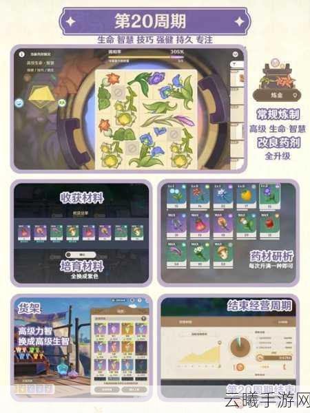 原神升炼研巧万策金活动深度解析与趣味玩法攻略