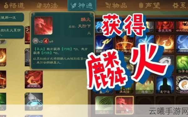 觅长生新手攻略,快速崛起,成就长生不老传奇