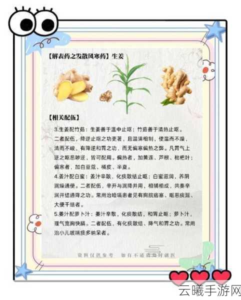江南百景图生姜获取秘籍及趣味玩法全揭秘