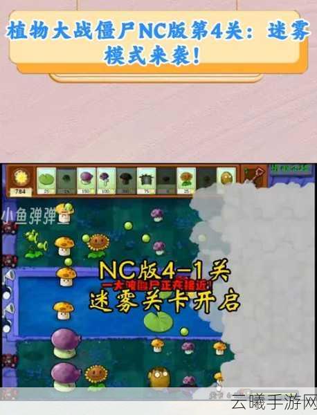植物大战僵尸第4关通关秘籍，策略与趣味并存！