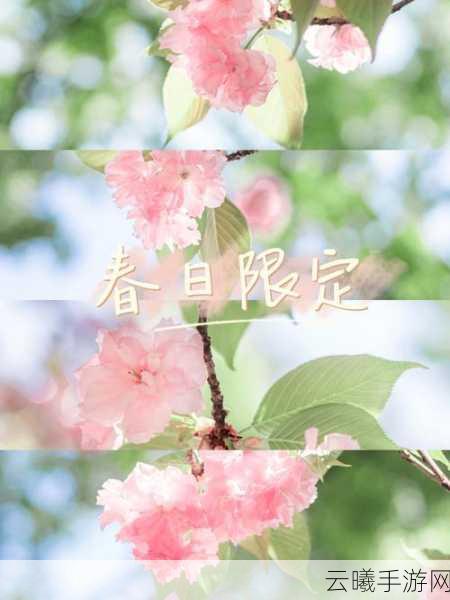 阴阳师晚樱烂漫飞花春归召唤活动全攻略,解锁春日限定惊喜!