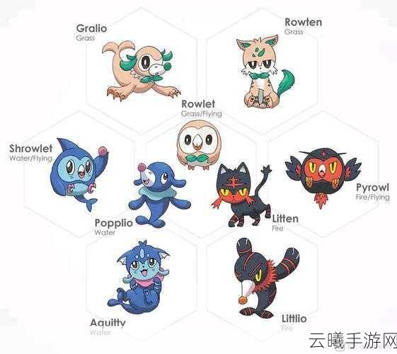 口袋妖怪复刻球球海狮种族值全解析及趣味玩法探索