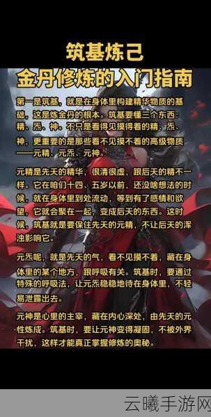 我的门派通脉丹丹方获取秘籍及趣味玩法揭秘